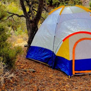 12 Nevada Campgrounds Where You Can Just Show Up Without A Reservation