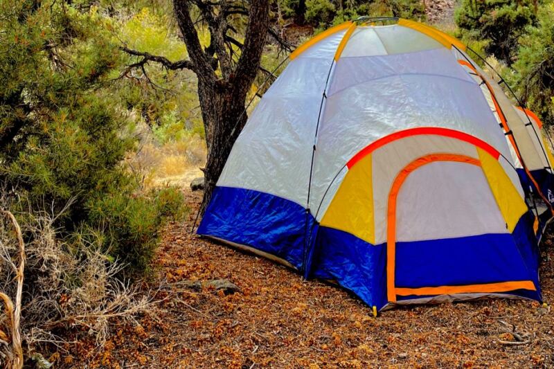 12 Nevada Campgrounds Where You Can Just Show Up Without A Reservation
