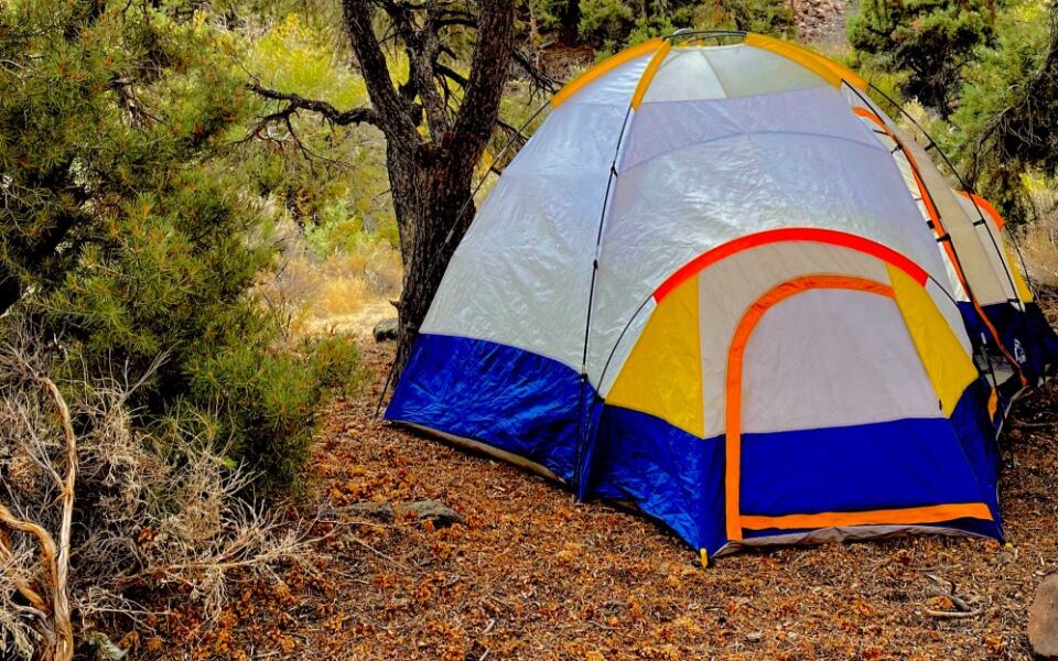 12 Nevada Campgrounds Where You Can Just Show Up Without A Reservation