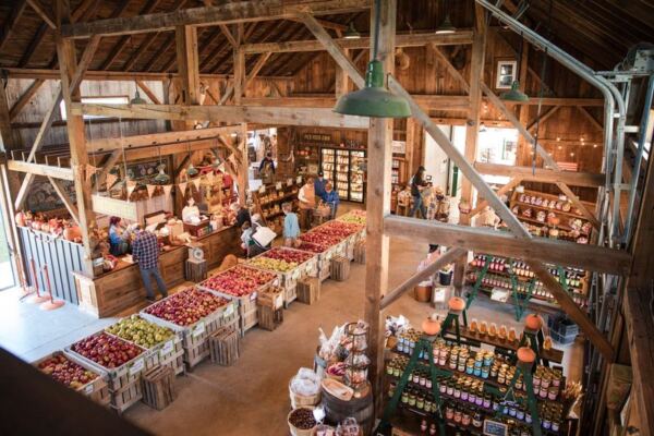 Fresh Cider And Pick-Your-Own Apples Turn Quarry Hill Orchards Near Lake Erie Into A Whole Fall Day