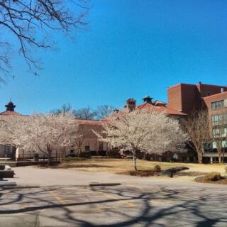The Whole Country Is Talking About This North Carolina Public High School and Its Top National Ranking