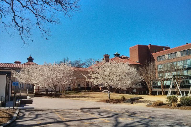 The Whole Country Is Talking About This North Carolina Public High School and Its Top National Ranking