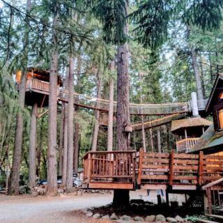 This Oregon Treetop Retreat Lets You Fall Asleep High Up Among the Branches