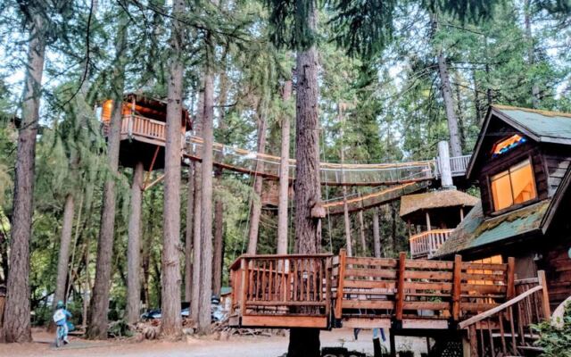 This Oregon Treetop Retreat Lets You Fall Asleep High Up Among the Branches