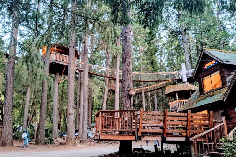 This Oregon Treetop Retreat Lets You Fall Asleep High Up Among the Branches