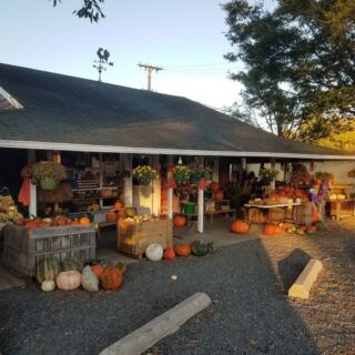 These 10 New Jersey Farmers Markets Turn $35 Into a Surprisingly Full Bag