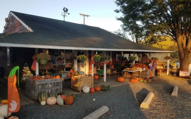 These 10 New Jersey Farmers Markets Turn $35 Into a Surprisingly Full Bag