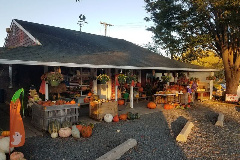 These 10 New Jersey Farmers Markets Turn $35 Into a Surprisingly Full Bag