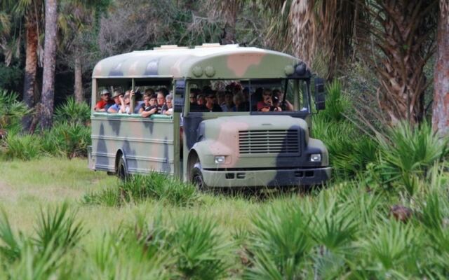 Tucked Off a Country Road Near Arcadia, Florida, a Cattle Ranch Serves Swamp Buggy Tours and Cowboy Lunch