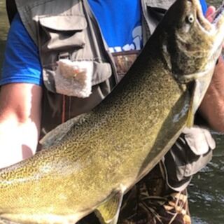 13 American Salmon Fishing Spots That Are Truly Worth the Journey