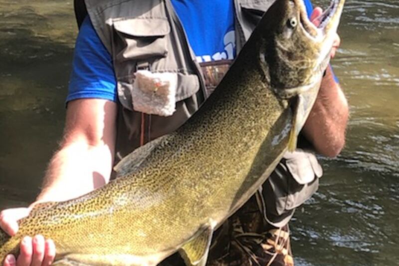 13 American Salmon Fishing Spots That Are Truly Worth the Journey