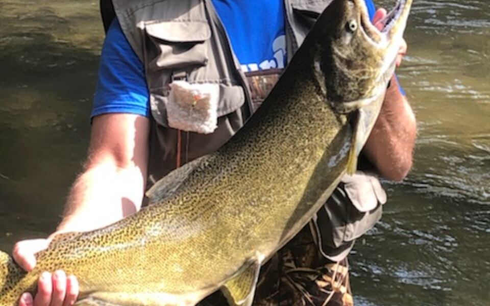 13 American Salmon Fishing Spots That Are Truly Worth the Journey