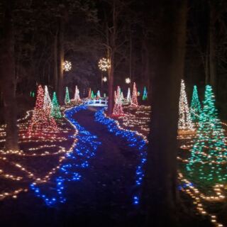 10 North Carolina Family Day Trips That Turn Late Fall Weekends Into New Traditions