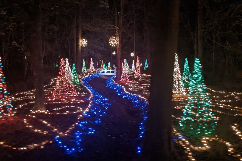 10 North Carolina Family Day Trips That Turn Late Fall Weekends Into New Traditions