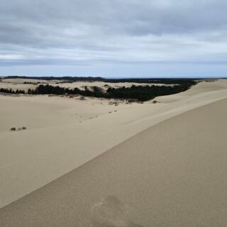 Oregon’s Coastal Road Trip Strings Lighthouses, Dunes, and Fishing Harbors Into One Postcard Drive