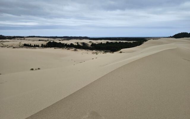 Oregon’s Coastal Road Trip Strings Lighthouses, Dunes, and Fishing Harbors Into One Postcard Drive