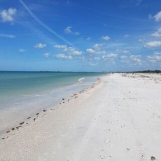 10 Little Reasons Dunedin, Florida Feels Like the Friendliest Small Town on the Gulf