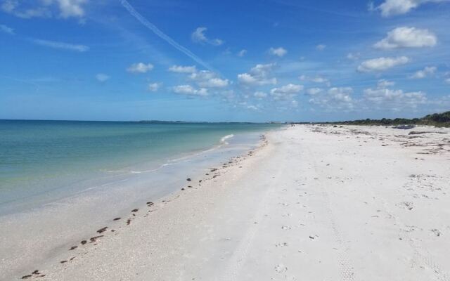 10 Little Reasons Dunedin, Florida Feels Like the Friendliest Small Town on the Gulf