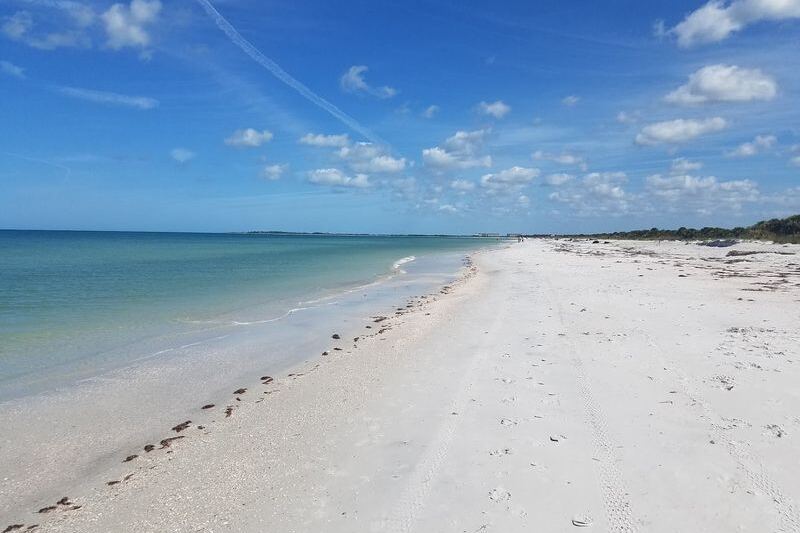 10 Little Reasons Dunedin, Florida Feels Like the Friendliest Small Town on the Gulf