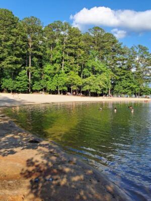 Georgia’s 260-Acre Lake Beach Wins Over First-Time Visitors With Its Clean Water and Peaceful Shoreline