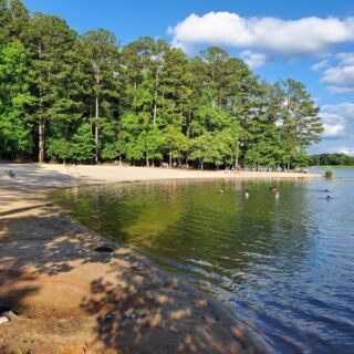 Georgia’s 260-Acre Lake Beach Wins Over First-Time Visitors With Its Clean Water and Peaceful Shoreline
