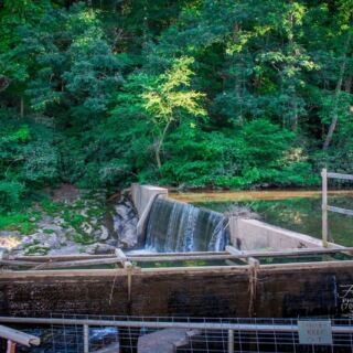 This Small North Carolina Farm Grinds Its Own Grits in a Working Water-Powered Mill