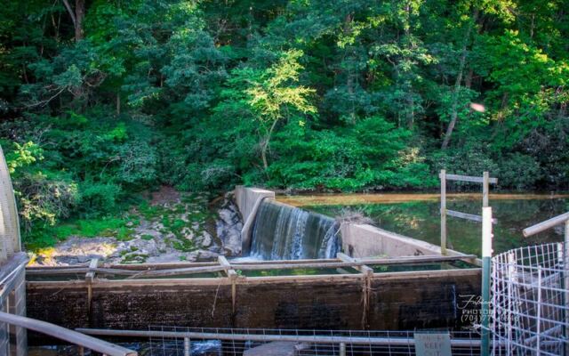 This Small North Carolina Farm Grinds Its Own Grits in a Working Water-Powered Mill