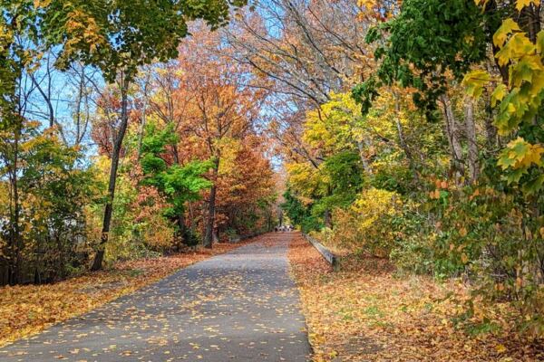 These 8 Flat Massachusetts Rail Trails Wind Through Fall Foliage Without a Single Hard Climb