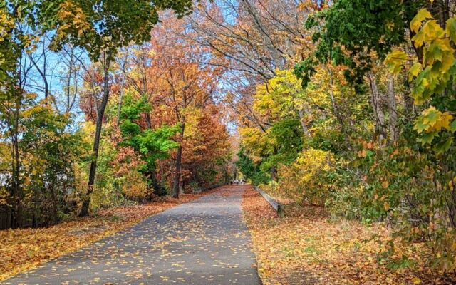 These 8 Flat Massachusetts Rail Trails Wind Through Fall Foliage Without a Single Hard Climb