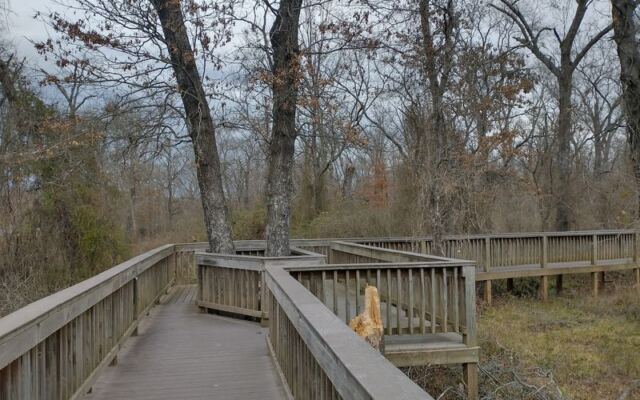 Most Drivers Speed Past the Turnoff to This Free Oklahoma Refuge With a Half-Mile Boardwalk Through Ancient Forest