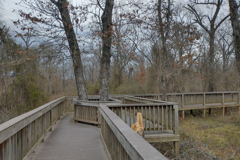 Most Drivers Speed Past the Turnoff to This Free Oklahoma Refuge With a Half-Mile Boardwalk Through Ancient Forest