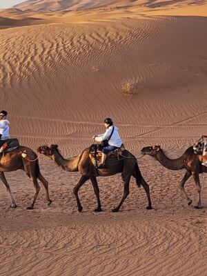 20 Once-in-a-Lifetime Adventures Around the World Worth Traveling For