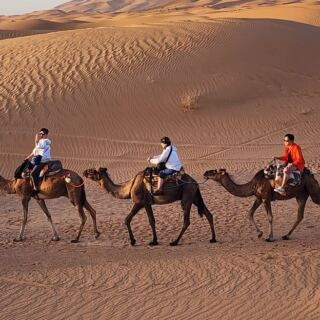 20 Once-in-a-Lifetime Adventures Around the World Worth Traveling For