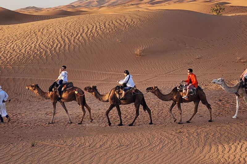 20 Once-in-a-Lifetime Adventures Around the World Worth Traveling For