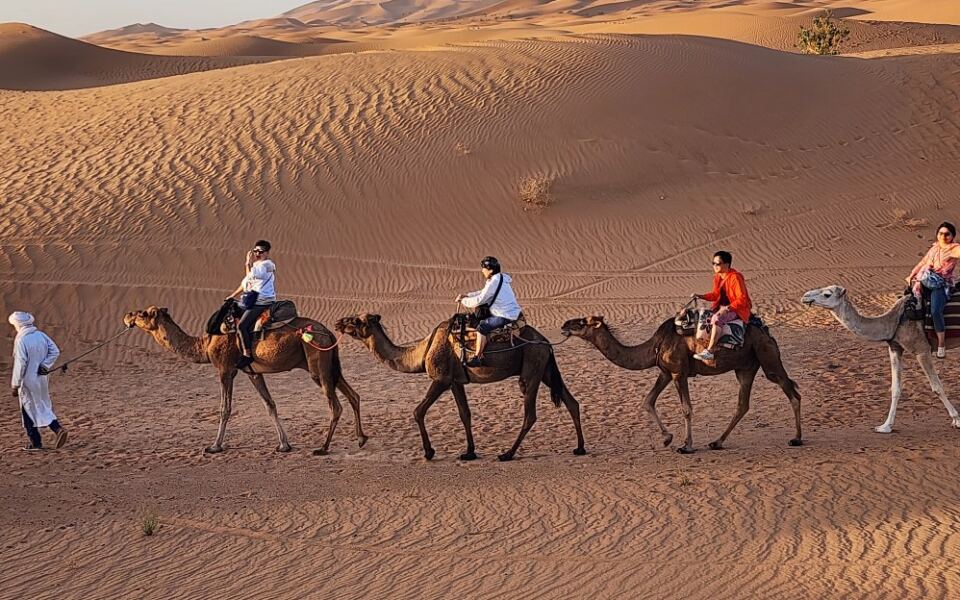 20 Once-in-a-Lifetime Adventures Around the World Worth Traveling For