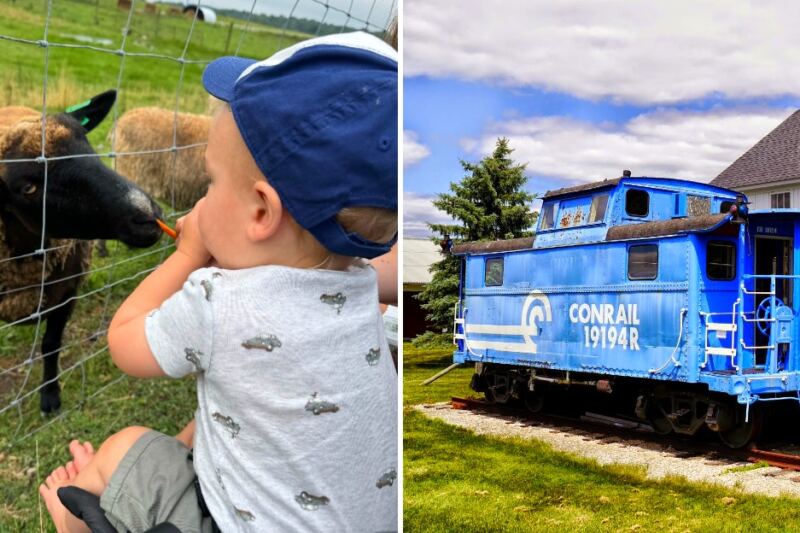 A Michigan Farm Where Kids Can Feed Goats and Explore a Train Caboose