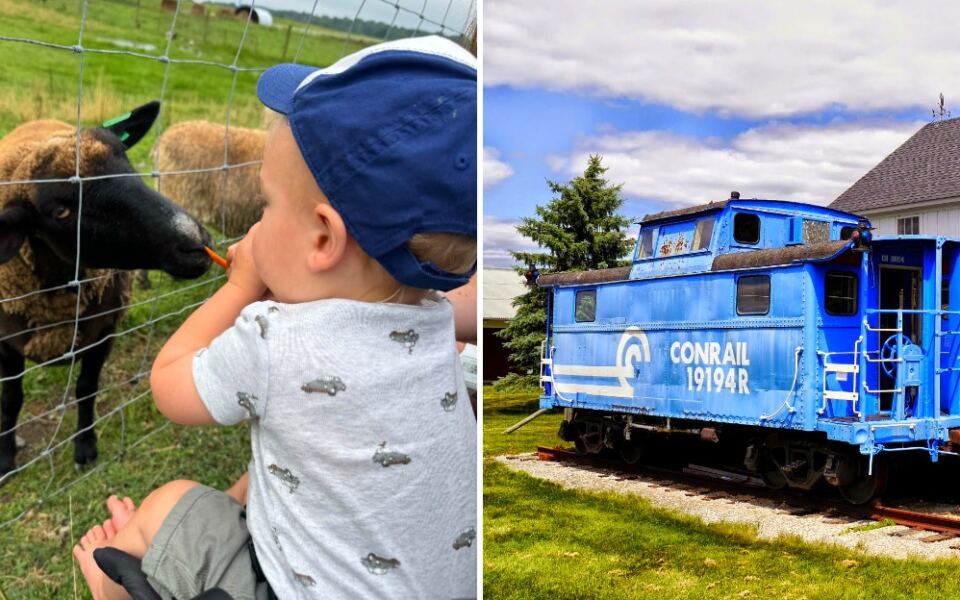 A Michigan Farm Where Kids Can Feed Goats and Explore a Train Caboose