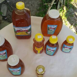 Honey Straight From the Comb Is Waiting at This Tupelo Honey Farm in Wewahitchka, Florida