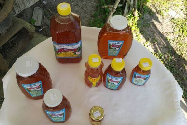 Honey Straight From the Comb Is Waiting at This Tupelo Honey Farm in Wewahitchka, Florida