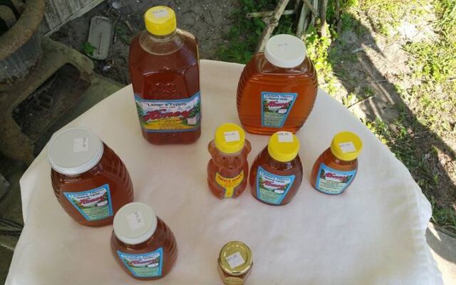 Honey Straight From the Comb Is Waiting at This Tupelo Honey Farm in Wewahitchka, Florida