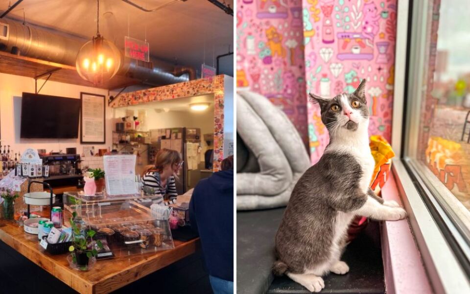 Warning: You Might Leave This Michigan Café With More Than Just Coffee