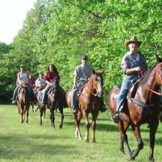 Nervous First-Time Riders Relax Fast On This Illinois Farm’s Hour-Long Forest Trail Ride