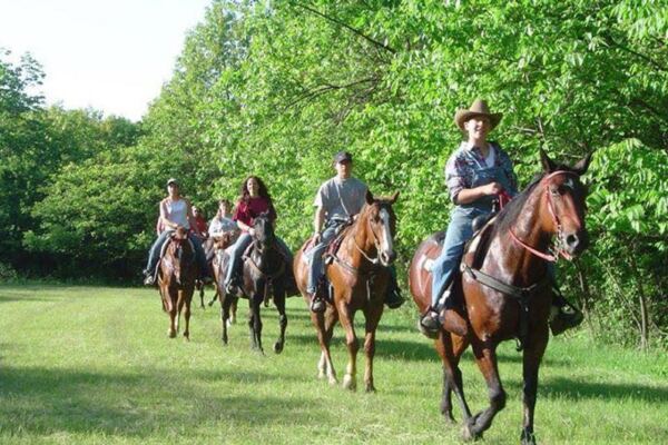 Nervous First-Time Riders Relax Fast On This Illinois Farm’s Hour-Long Forest Trail Ride
