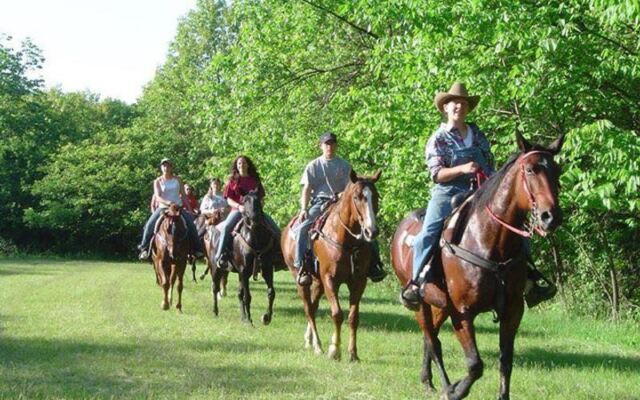 Nervous First-Time Riders Relax Fast On This Illinois Farm’s Hour-Long Forest Trail Ride
