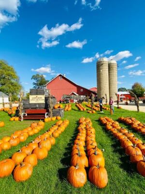 9 Illinois Cider Mills And Orchards Offering Fresh Apple Cider Right Now
