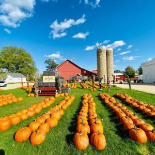 9 Illinois Cider Mills And Orchards Offering Fresh Apple Cider Right Now
