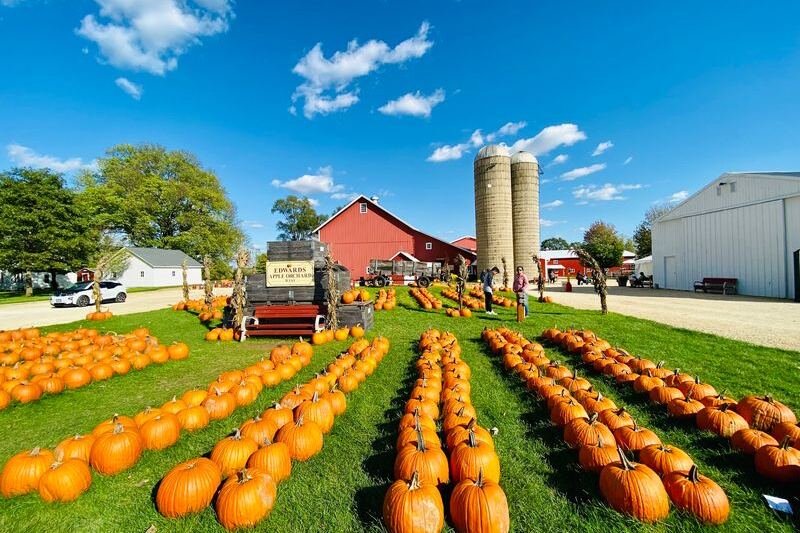 9 Illinois Cider Mills And Orchards Offering Fresh Apple Cider Right Now