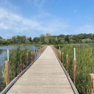 Herons and Turtles Share a Quiet 2-Mile Boardwalk at This Minnesota Sanctuary Most Drivers Speed Right Past