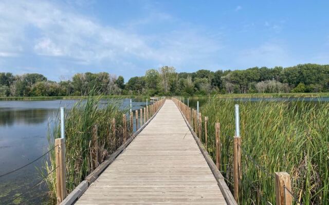 Herons and Turtles Share a Quiet 2-Mile Boardwalk at This Minnesota Sanctuary Most Drivers Speed Right Past
