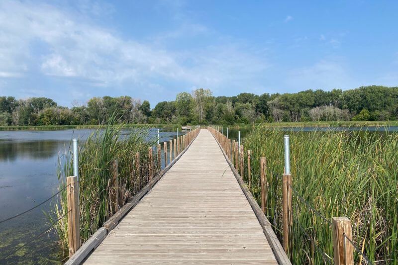 Herons and Turtles Share a Quiet 2-Mile Boardwalk at This Minnesota Sanctuary Most Drivers Speed Right Past